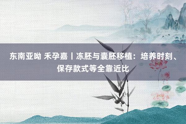 东南亚呦 禾孕嘉丨冻胚与囊胚移植：培养时刻、保存款式等全靠近比