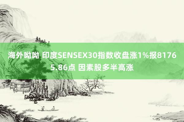 海外呦呦 印度SENSEX30指数收盘涨1%报81765.86点 因素股多半高涨