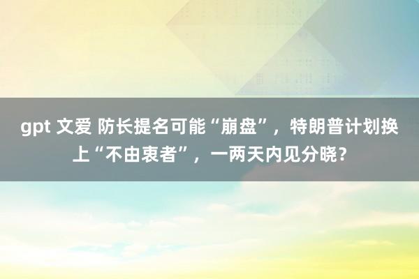 gpt 文爱 防长提名可能“崩盘”，特朗普计划换上“不由衷者”，一两天内见分晓？