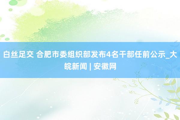 白丝足交 合肥市委组织部发布4名干部任前公示_大皖新闻 | 安徽网