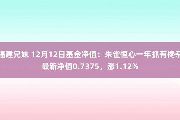 福建兄妹 12月12日基金净值：朱雀恒心一年抓有搀杂最新净值0.7375，涨1.12%