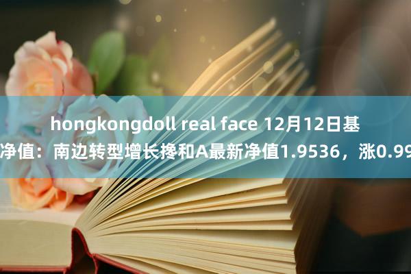 hongkongdoll real face 12月12日基金净值：南边转型增长搀和A最新净值1.9536，涨0.99%