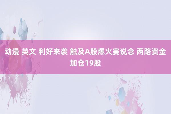 动漫 英文 利好来袭 触及A股爆火赛说念 两路资金加仓19股