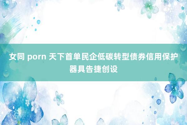 女同 porn 天下首单民企低碳转型债券信用保护器具告捷创设