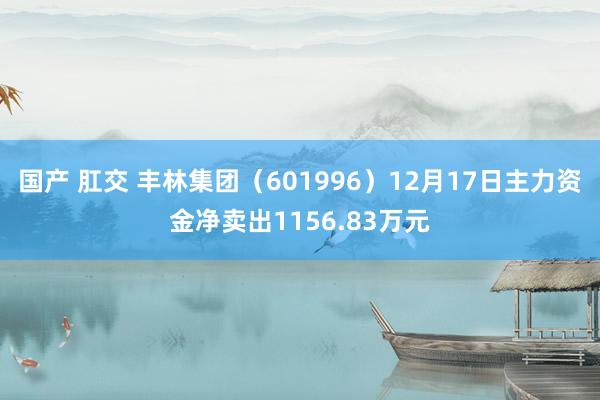 国产 肛交 丰林集团（601996）12月17日主力资金净卖出1156.83万元