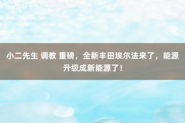小二先生 调教 重磅，全新丰田埃尔法来了，能源升级成新能源了！
