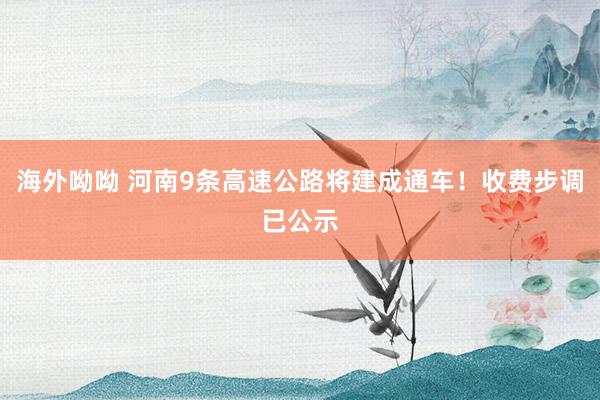 海外呦呦 河南9条高速公路将建成通车！收费步调已公示