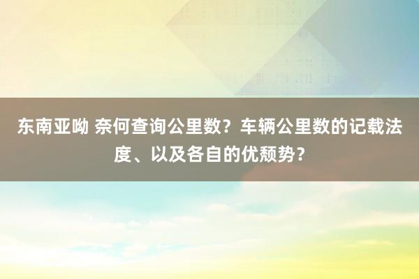 东南亚呦 奈何查询公里数？车辆公里数的记载法度、以及各自的优颓势？