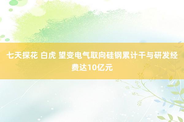 七天探花 白虎 望变电气取向硅钢累计干与研发经费达10亿元