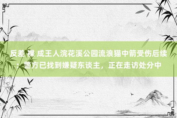 反差 裸 成王人浣花溪公园流浪猫中箭受伤后续：警方已找到嫌疑东谈主，正在走访处分中