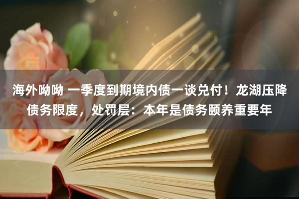 海外呦呦 一季度到期境内债一谈兑付！龙湖压降债务限度，处罚层：本年是债务颐养重要年