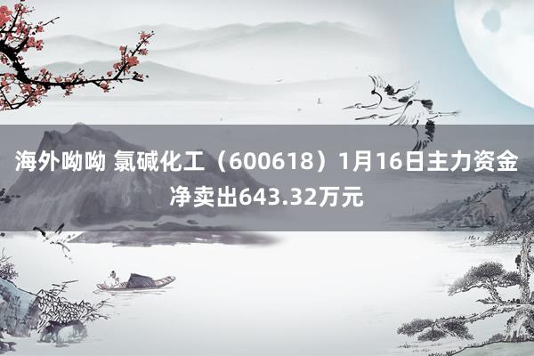 海外呦呦 氯碱化工（600618）1月16日主力资金净卖出643.32万元