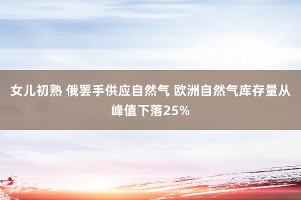 女儿初熟 俄罢手供应自然气 欧洲自然气库存量从峰值下落25%