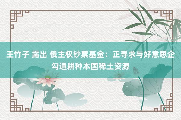 王竹子 露出 俄主权钞票基金：正寻求与好意思企勾通耕种本国稀土资源